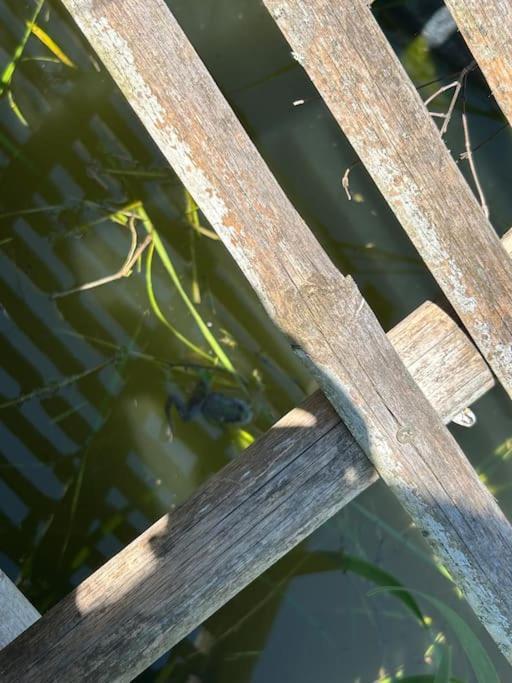 Vila Un Havre De Paix Au Perigord Anlhiac Exteriér fotografie