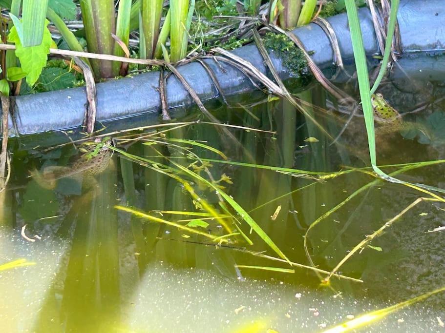 Vila Un Havre De Paix Au Perigord Anlhiac Exteriér fotografie